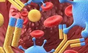 抗主要過敏原抗體、抗人免疫球蛋白抗體、流式抗體、抗過敏主要相關(guān)致病分子抗體